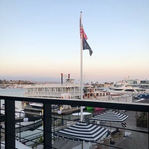 Meet your Posher, Izzy